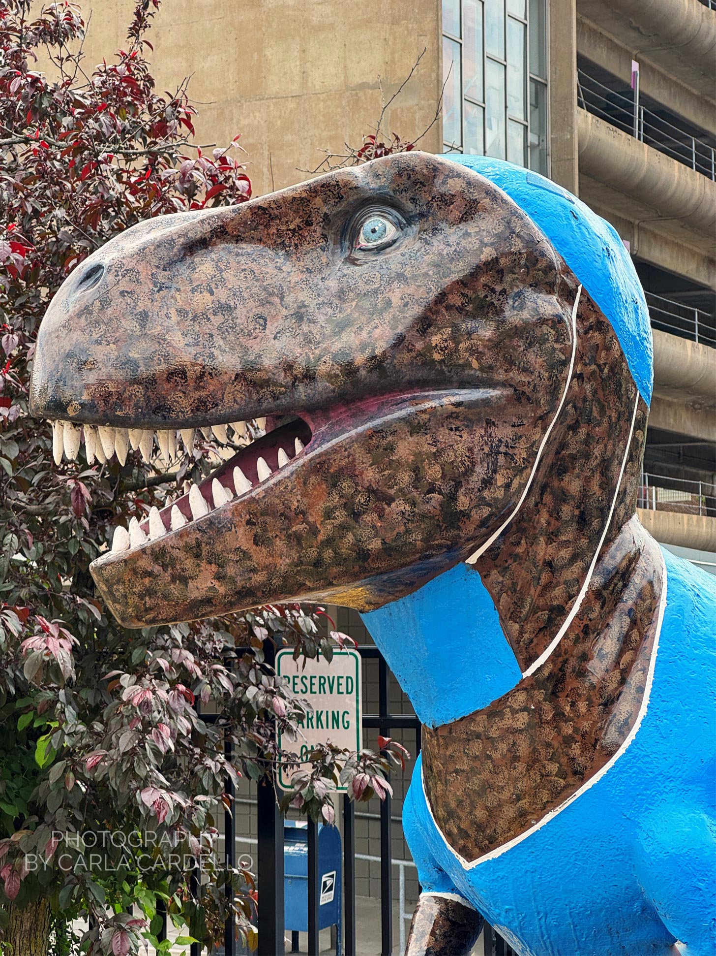 Close up Dinosurgeon Pittsburgh Dinosaur Statue
