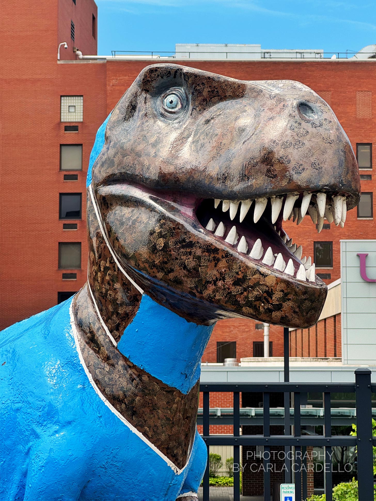 Close up of Dinosurgeon Pittsburgh Dinosaur Statue