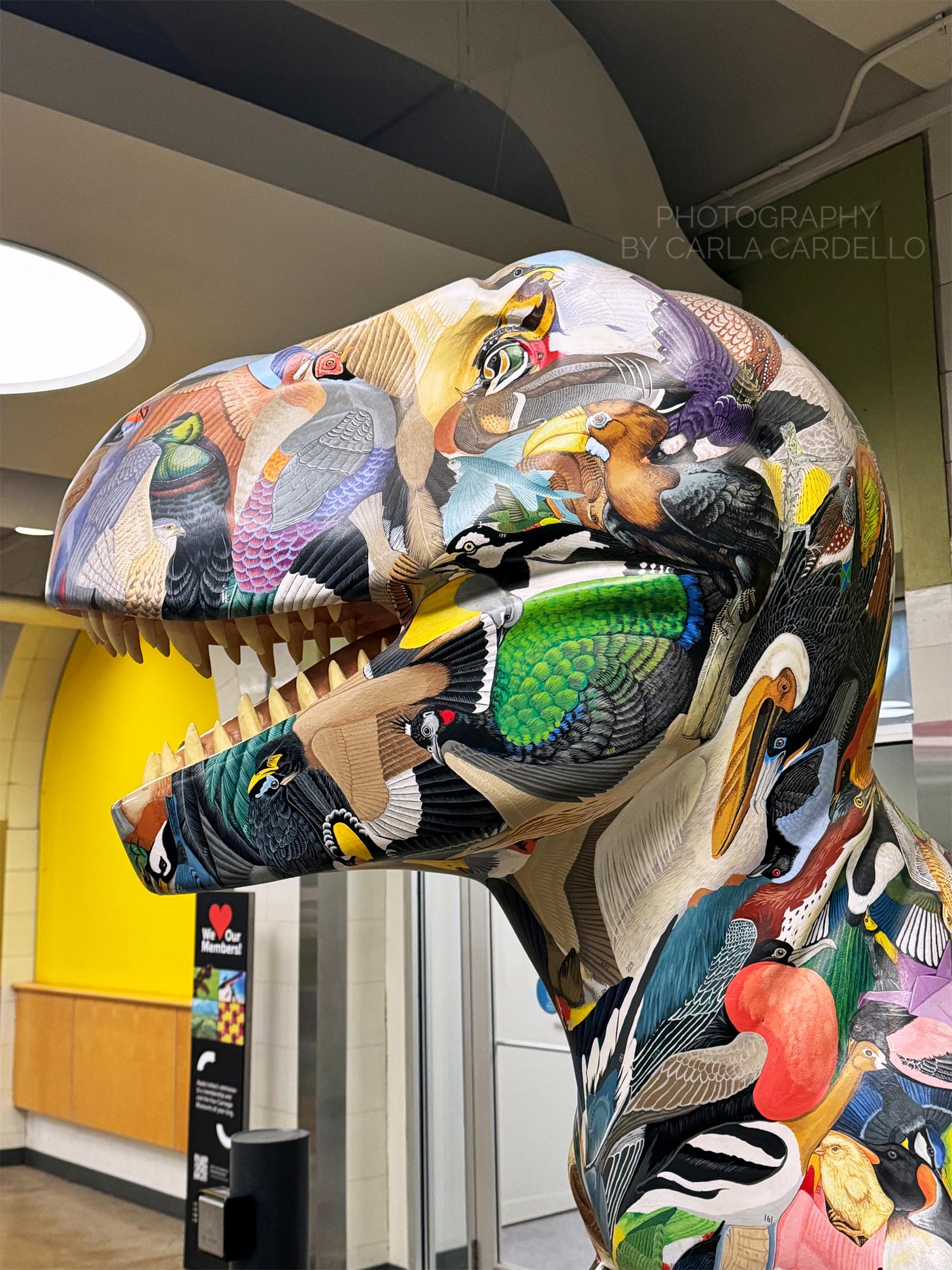 Close up of Dino-Soar Pittsburgh Dinosaur Statue