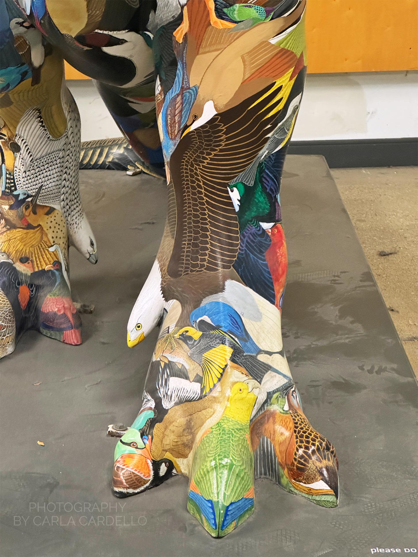Close up of Dino-Soar foot