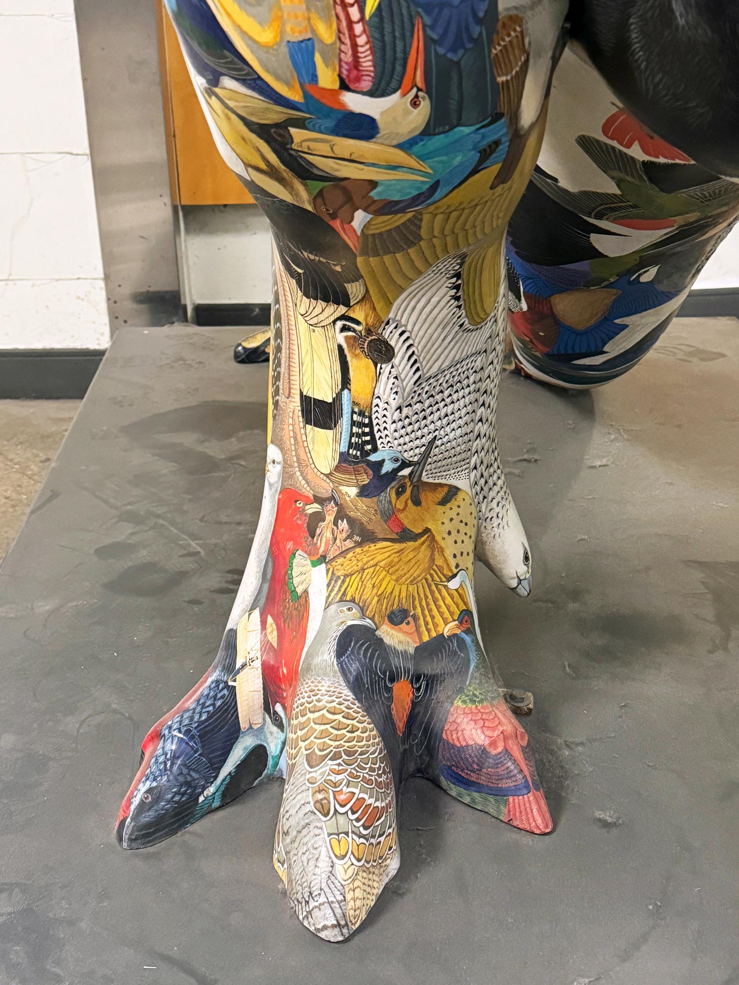 Close up of Dino-Soar foot