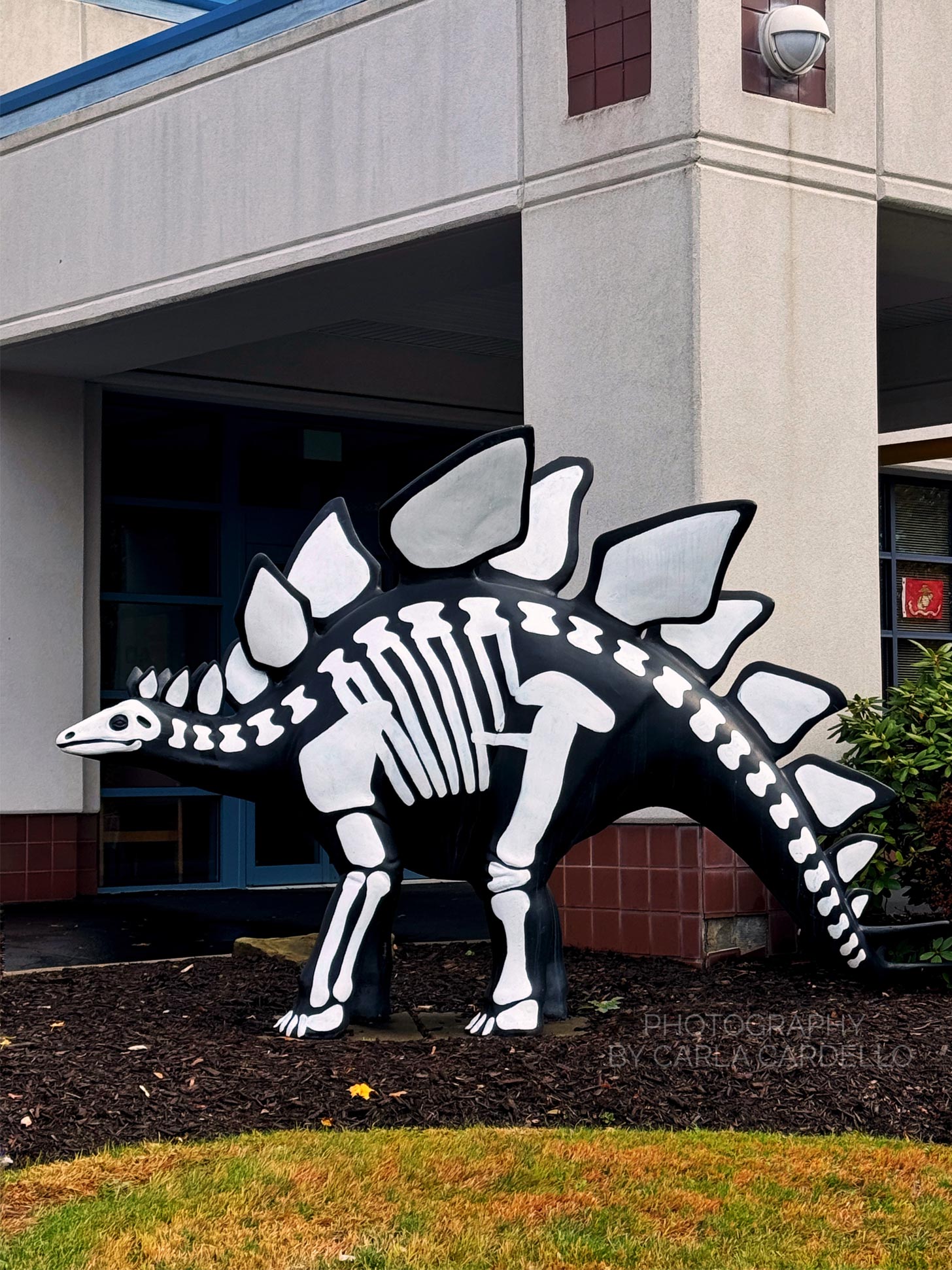 Skeletosaurus Pittsburgh Dinosaur Statue