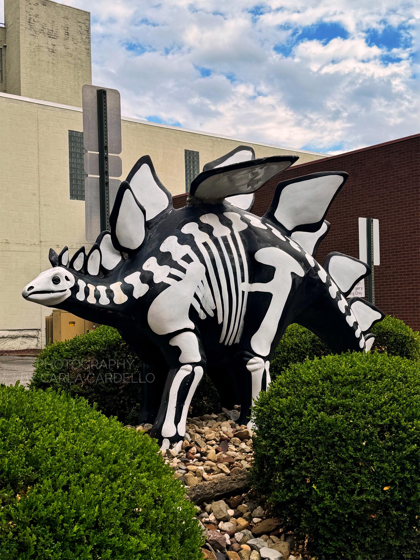 Skeletosaurus Pittsburgh Dinosaur Statue