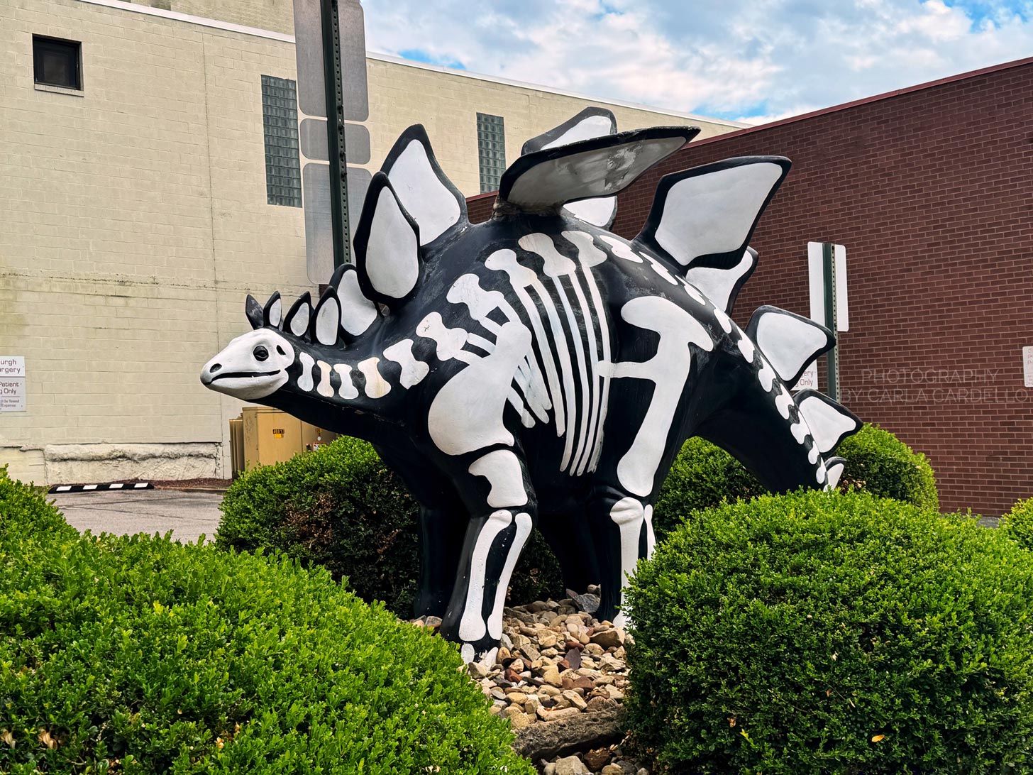 Skeletosaurus Pittsburgh Dinosaur Statue